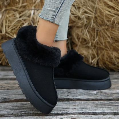 Zapato de noche fancy